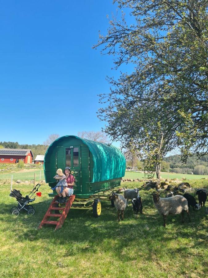 The Thistle - Eko Farm stay
